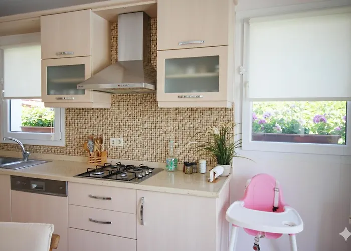 Amazon * ダルヤン